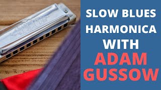 Slow Blues Harmonica with Adam Gussow [upl. by Elvyn]