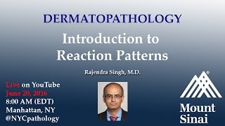 Dermatopathology Introduction to Reaction Patterns w Dr Singh [upl. by Aenert]