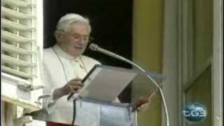 Servizio Tg3 Roberto Balducci su papa Ratzinger e quoti quattro gattiquot [upl. by Wichern]