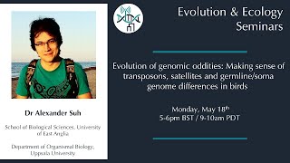 Alexander Suh Evolution of genomic oddities [upl. by Cortie846]