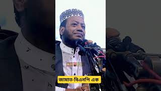 জামাতবিএনপি গোঁপন তথ্য ফাঁস Mufti Amir Hamza WAZ A TO Z [upl. by Lyrret485]