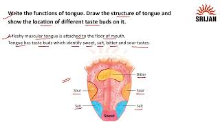 Icse Biology 6 Chapter4 [upl. by Dlarrej823]