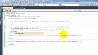 How to Convert Image to Base64 and back to Image in Visual Basic net 2010 [upl. by Scharf634]