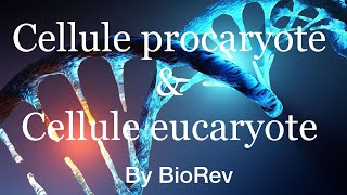 Cellule procaryote Vs cellule eucaryote [upl. by Anerom622]