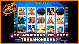 Excelente Tragamonedas ► 3 Jackpot con Apuesta Máxima Dolphin Treasure Slot [upl. by Arraet413]