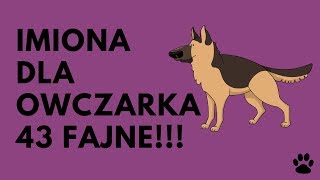 Imiona Dla Owczarka Niemieckiego 43 Fajne  Imionowo [upl. by Leuqim]