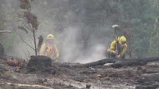 Lee Falls Fire evacuations still in place as wildfire near Henry Hagg Lake rages on [upl. by Millda]