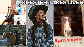 CHESTER TAKES OVER 6 Rodeos [upl. by Hammer]