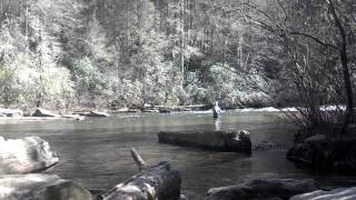 Fly Fishing Little River DuPont State Forest Brevard North Carolina [upl. by Merwyn219]