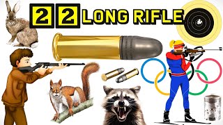 22 LONG RIFLE History and Relevance [upl. by Magbie453]