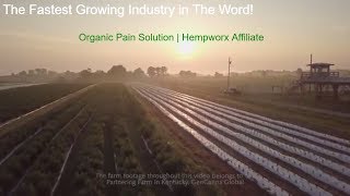 HempWorx Product Video  Top CBD Oil [upl. by Nwahsauq]