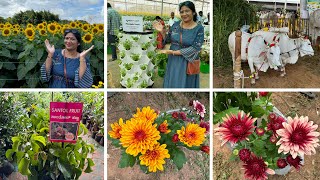 Bengaluru krishimela 2024  Plant shopping 🪴GKVK Fruit and flowering plantsherbs amp 🐠 [upl. by Ketti]