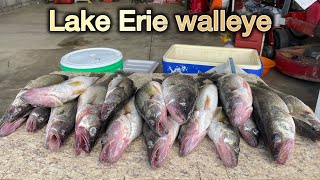 Lake Erie Walleye Fishing Catch Clean amp Cook [upl. by Finbur52]