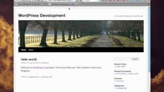 WordPress 3 MultiSite Setup [upl. by Odracer]