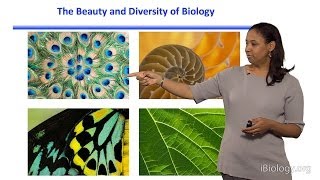 Kristala L J Prather MIT Part 1 Introduction to Synthetic Biology and Metabolic Engineering [upl. by Fenelia214]