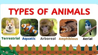 Classification of Animals for kids based on habitat  Land animals water air tree amphibians [upl. by Womack]