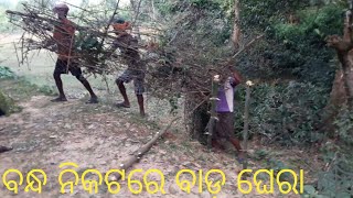 ବନ୍ଧ ନିକଟରେ ବାଡ଼ ଘେରା 🕸️My life My vlog My Memories [upl. by Neeruan]