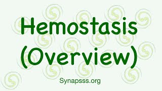 Homeostasis Overview vasoconstriction primary platelet plug secondary fibrin meshwork clot [upl. by Able]