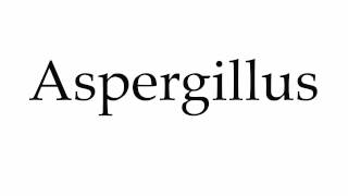 How to Pronounce Aspergillus [upl. by Adyela]