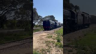 TRAINS AM22 Steam Train 621 ‘Duke of Edinburgh’ arriving at Goolwa for a seaside holiday 27924 [upl. by Ehsom]