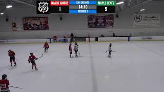 Tournoi NHL Kids Décembre 2022 Match préparatoire Black Hawks vs Little Maple Leafs [upl. by Llewon]