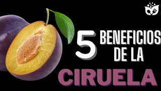 Los 5 Increíbles BENEFICIOS de la CIRUELA que Debes Conocer [upl. by Airdnalahs]