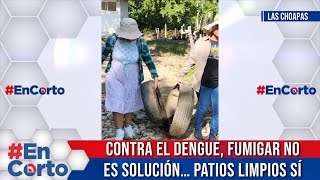 CONTRA EL DENGUE FUMIGAR NOES SOLUCIÓN… PATIOS LIMPIOS SÍ EnCorto NoticieroDigital video [upl. by Kries]