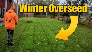 Overseeding Fall Lawns for Winter [upl. by Carlos]