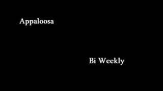 appaloosa  bi weekly [upl. by Sillsby]