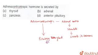 Adrenocorticotropic hormone is secreted by [upl. by Sutniuq]