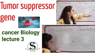 Tumor suppressor gene \ Anti Oncogene \ p53 gene \ Cancer Cell Biochemistry lecture 3 [upl. by Peh]