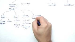 Cardiac Drugs Part 1 Intro and Afterload [upl. by Mcleroy]