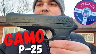 Gamo P25 Blowback Air Pistol Review [upl. by Linis]