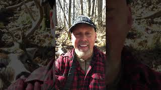 PampY 8 PT Buck Second Chance shortvideo subscribe archery deer fall nature hunting shorts [upl. by Mohandis217]