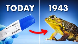 Everything You Didnt Know About Frog Pregnancy Tests [upl. by Ellened455]