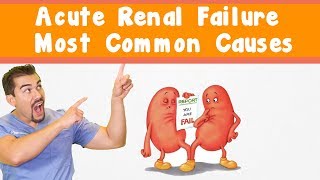 Acute Renal Failure Most common causes [upl. by Dasi]