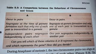 Difference between Chromosome and Gene  NCERT  BIOLOGY 12th [upl. by Yaras807]