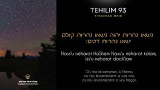 TEHILIM 93  YITZCHAK MEIR  HEBRAICO PORTUGUÊS [upl. by Coltin]