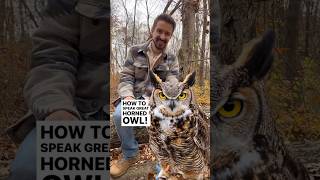 How to Speak Great Horned Owl 🦉 naturalist natureeducation greathornedowl owls [upl. by Valenba]