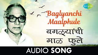 Baglyanchi Maalphule  Audio  बगळ्यांची माळ फुले  Dr Vasantrao Deshpande  Shrinivas Khale [upl. by Hilde]