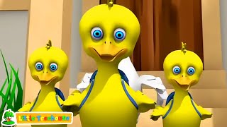 Cinco Patitos Canción Numérica y Más Preescolar Rima Para Niños [upl. by Murry]