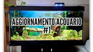 Aggiornamento acquario 1 [upl. by Addiego]