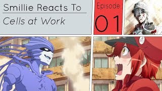 Cells at Work Episode 1 Reaction はたらく細胞 [upl. by Cooke]