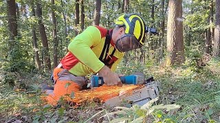 Ťažba dubov a menšia porucha na Stihl 462 😜 Zetor Proxima Amles Práca v lese Forestwork [upl. by Rodi456]