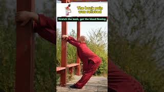 Follow Along Practical Back Stretching Exercises for Tension Relief kungfu traditionalkungfu [upl. by Atteselrahc501]