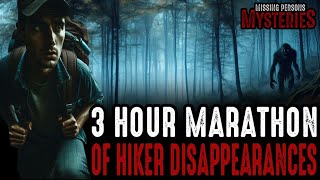 3 Hour National Park Disappearances MARATHON [upl. by Aitnecserc]