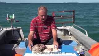 Snapper Longline Fishing Methods [upl. by Irish]