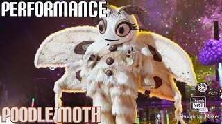 Poodle Moth Performs quotPrice Tagquot By Jessie J FT BOB  Masked Singer  S11 E10 [upl. by Pearl]