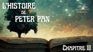 Lhistoire de Peter Pan  Chapitre 11 Histoire pour sendormir ASMR [upl. by Ofloda124]