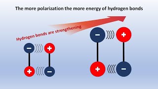 Significance of hydrogen bonds of water for cell physiology video Abstract 2 [upl. by Nosna]